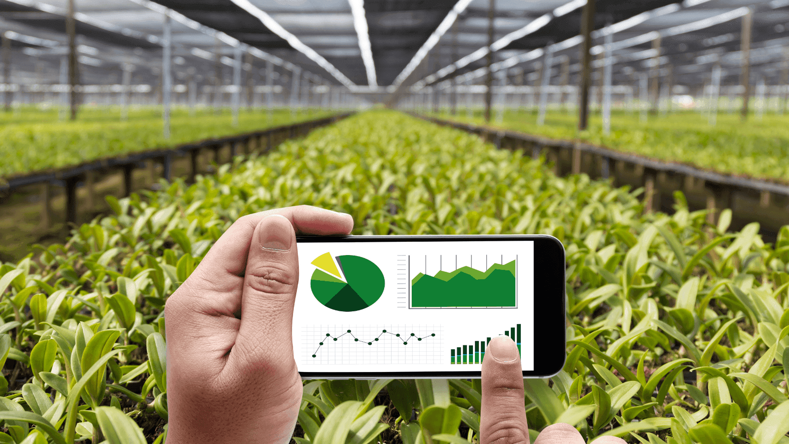 agriculture